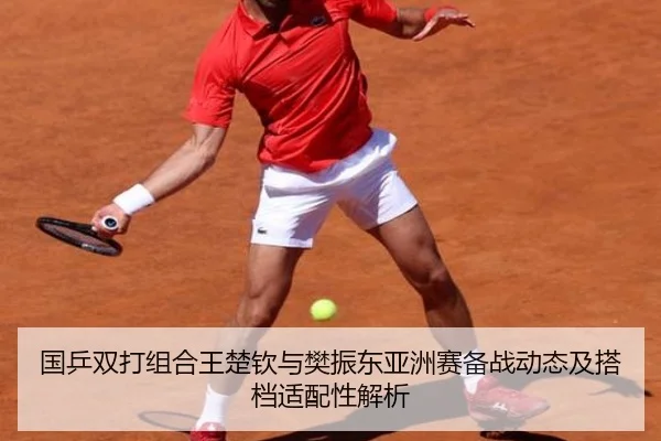 国乒双打组合王楚钦与樊振东亚洲赛备战动态及搭档适配性解析